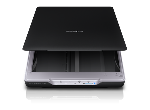 סורק EPSON PERFECTION V19