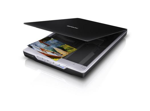 סורק EPSON PERFECTION V19